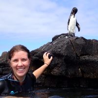 Amy is in the Galapagos with swimming with the penguins!
